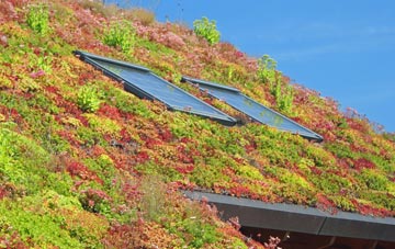 Mooray living roof systems