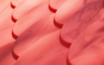 Mooray plastic roof costs