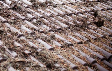 Mooray roof cleaning companies