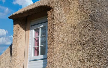 Mooray thatch roof disadvantages