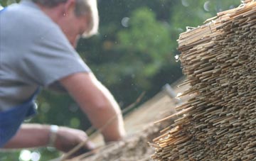 professional Mooray thatchers