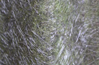 Mooray fibreglass roof work